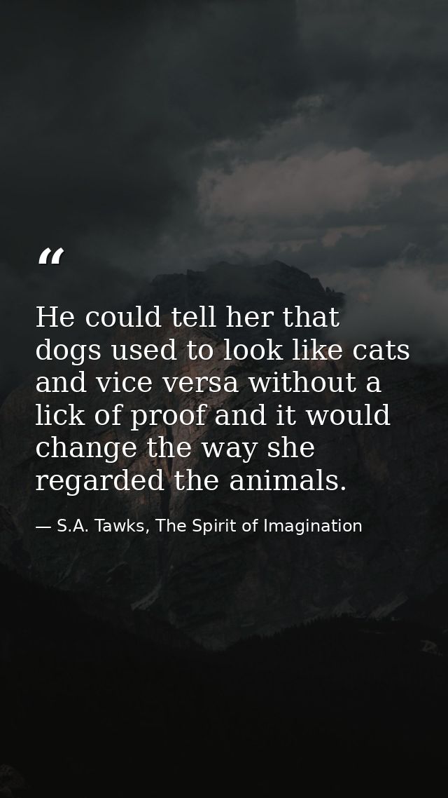 He could tell her that dogs used to look like cats and vice versa without a lick of proof and it would change the way sh — S.A. Tawks, The Spirit of Imagination