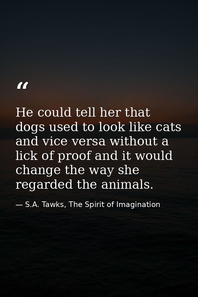 He could tell her that dogs used to look like cats and vice versa without a lick of proof and it would change the way sh — S.A. Tawks, The Spirit of Imagination