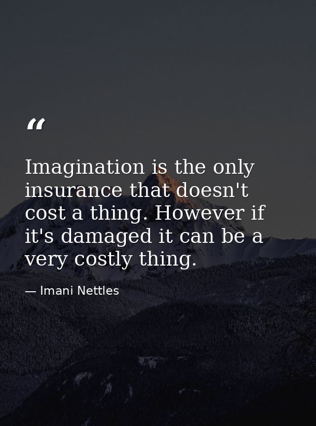 Imagination is the only insurance that doesn't cost a thing. However if it's damaged it can be a very costly thing. — Imani Nettles