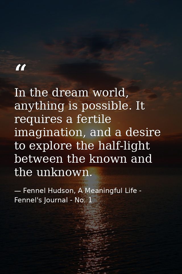 In the dream world, anything is possible. It requires a fertile imagination, and a desire to explore the half-light betw — Fennel Hudson, A Meaningful Life - Fennel's Journal - No. 1