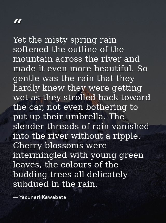 Yet the misty spring rain softened the outline of the mountain across the river and made it even more beautiful. So gent — Yasunari Kawabata