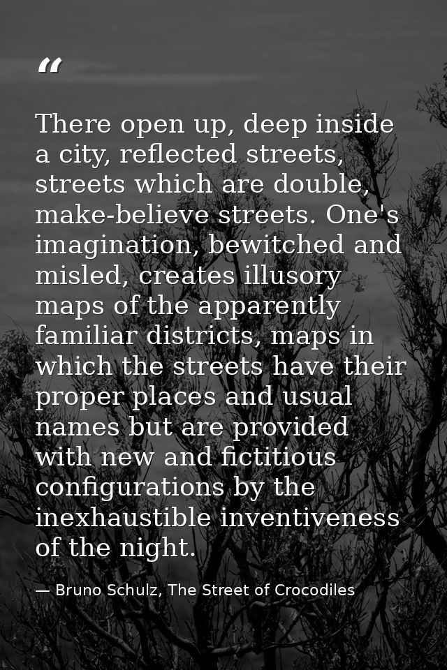 There open up, deep inside a city, reflected streets, streets which are double, make-believe streets. One's imagination, — Bruno Schulz, The Street of Crocodiles