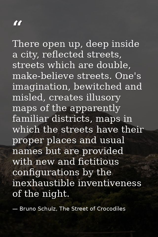 There open up, deep inside a city, reflected streets, streets which are double, make-believe streets. One's imagination, — Bruno Schulz, The Street of Crocodiles