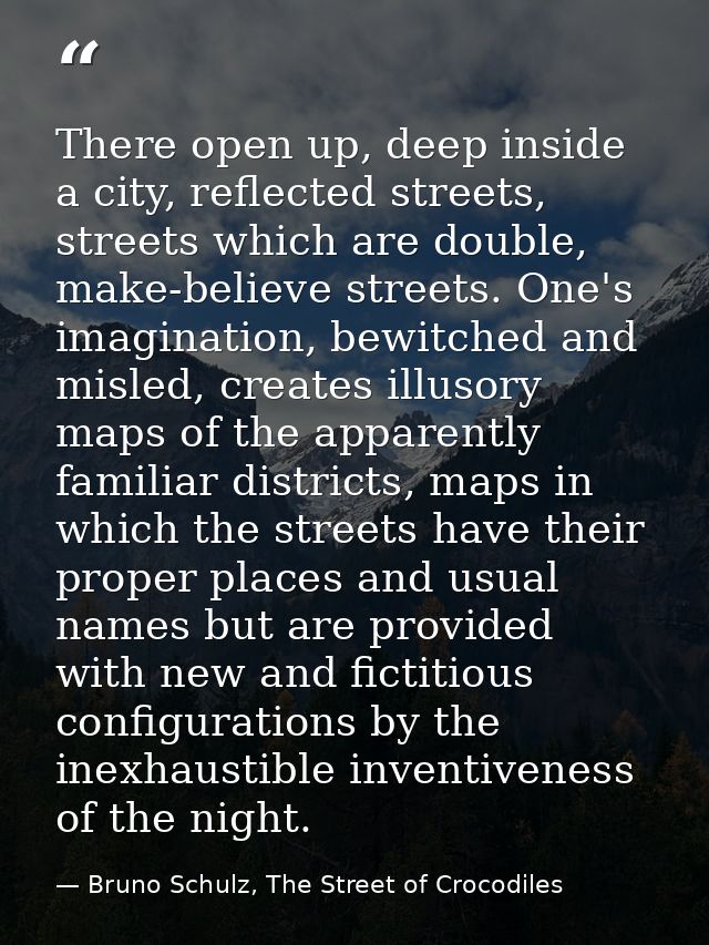 There open up, deep inside a city, reflected streets, streets which are double, make-believe streets. One's imagination, — Bruno Schulz, The Street of Crocodiles