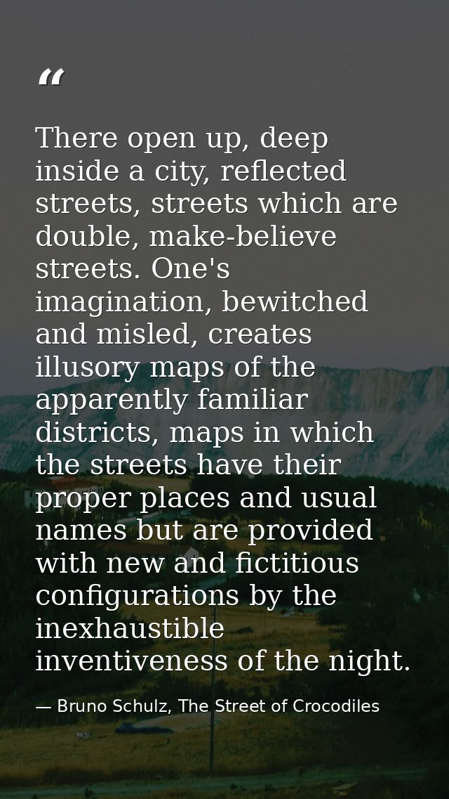 There open up, deep inside a city, reflected streets, streets which are double, make-believe streets. One's imagination, — Bruno Schulz, The Street of Crocodiles