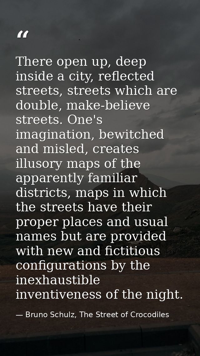 There open up, deep inside a city, reflected streets, streets which are double, make-believe streets. One's imagination, — Bruno Schulz, The Street of Crocodiles