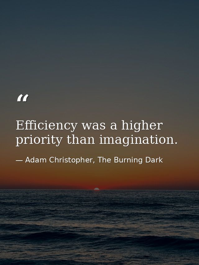 Efficiency was a higher priority than imagination. — Adam Christopher, The Burning Dark