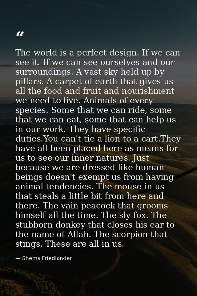 The world is a perfect design. If we can see it. If we can see ourselves and our surroundings. A vast sky held up by pil — Shems Friedlander