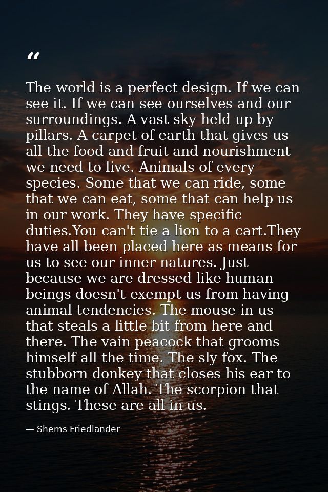 The world is a perfect design. If we can see it. If we can see ourselves and our surroundings. A vast sky held up by pil — Shems Friedlander