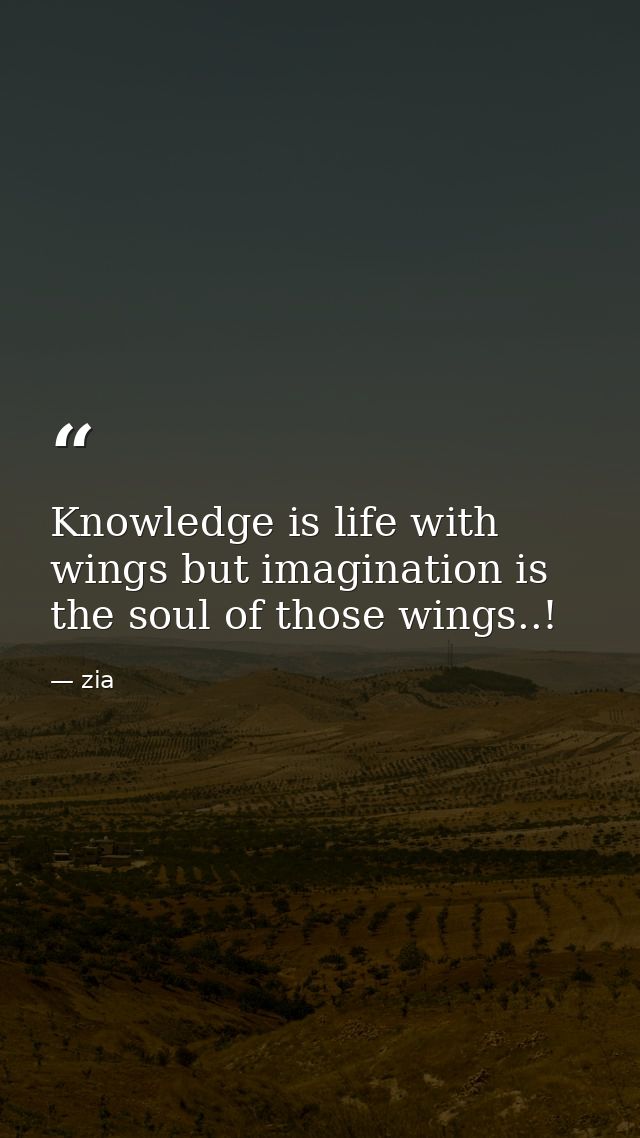 Knowledge is life with wings but imagination is the soul of those wings..! — zia
