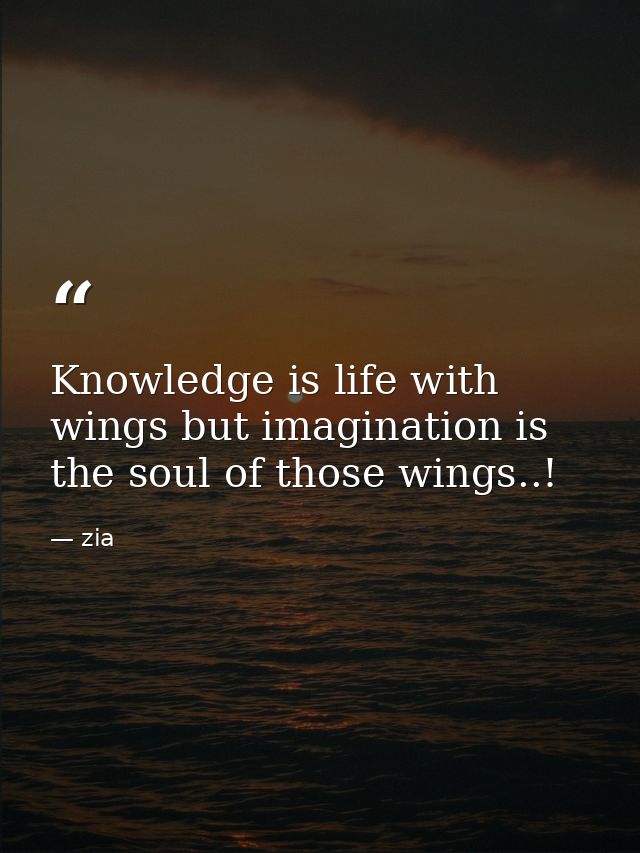Knowledge is life with wings but imagination is the soul of those wings..! — zia
