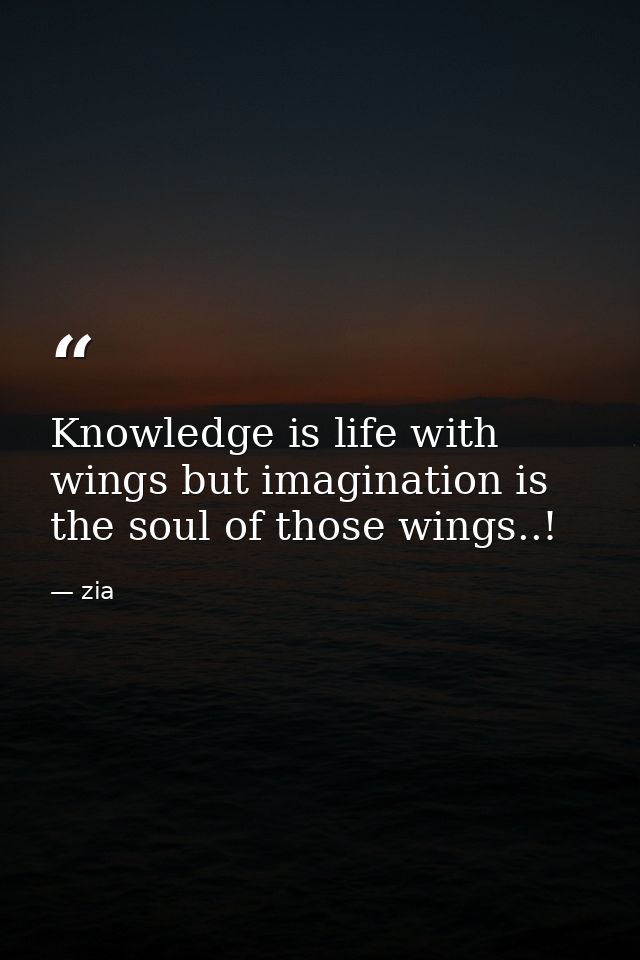 Knowledge is life with wings but imagination is the soul of those wings..! — zia