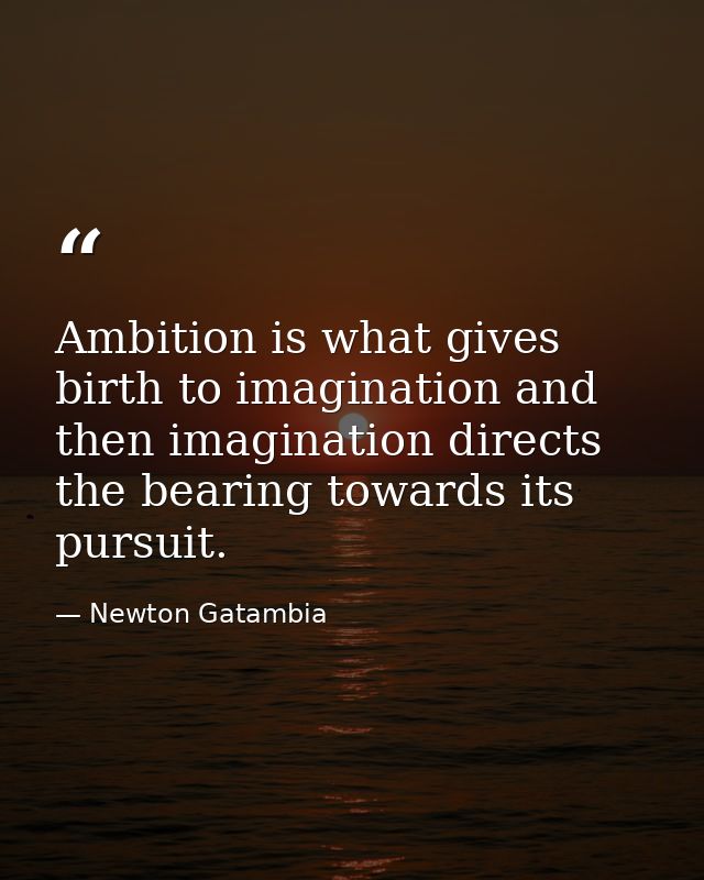 Ambition is what gives birth to imagination and then imagination directs the bearing towards its pursuit. — Newton Gatambia