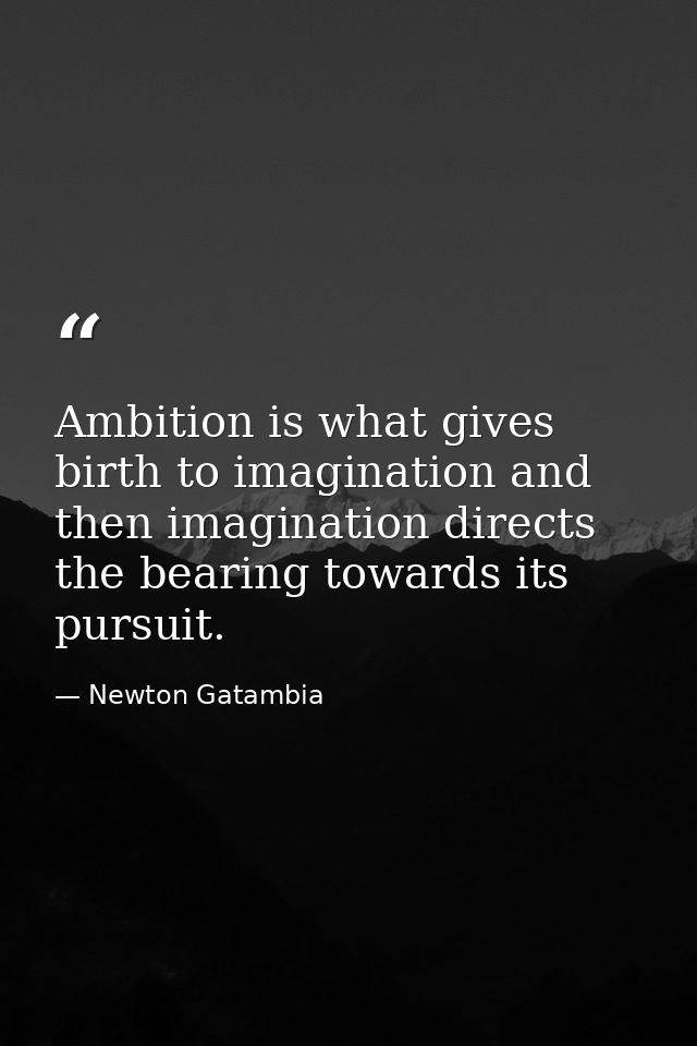 Ambition is what gives birth to imagination and then imagination directs the bearing towards its pursuit. — Newton Gatambia