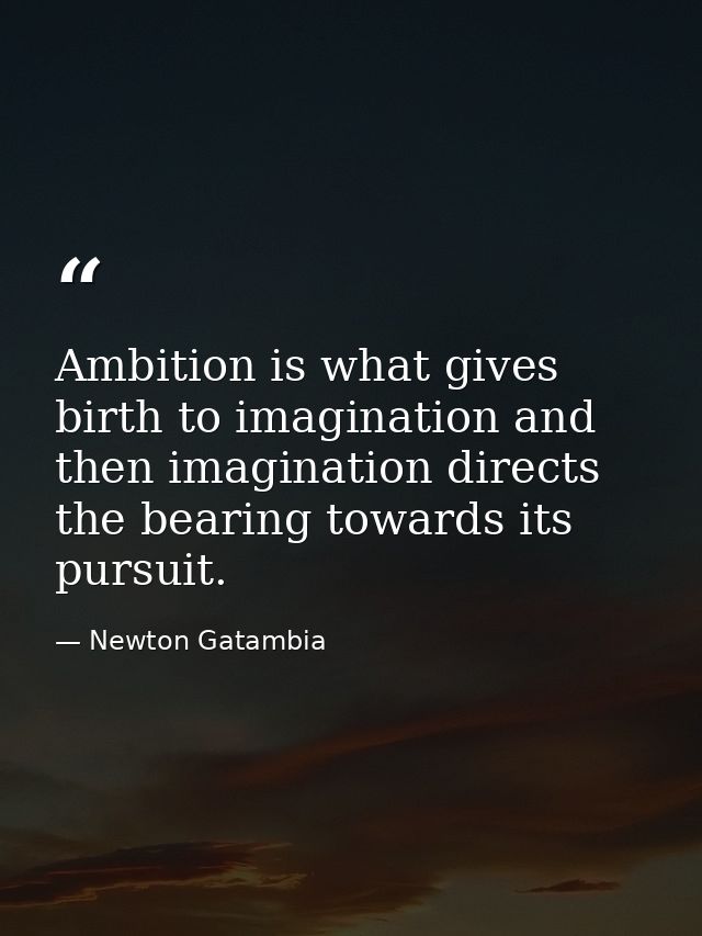 Ambition is what gives birth to imagination and then imagination directs the bearing towards its pursuit. — Newton Gatambia