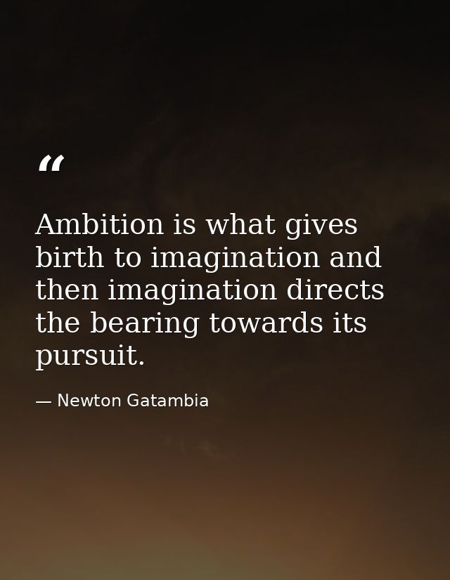 Ambition is what gives birth to imagination and then imagination directs the bearing towards its pursuit. — Newton Gatambia