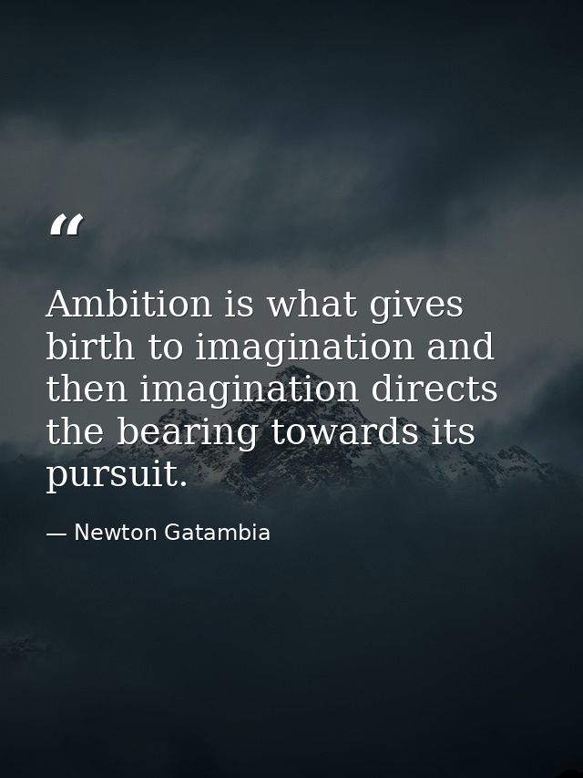 Ambition is what gives birth to imagination and then imagination directs the bearing towards its pursuit. — Newton Gatambia