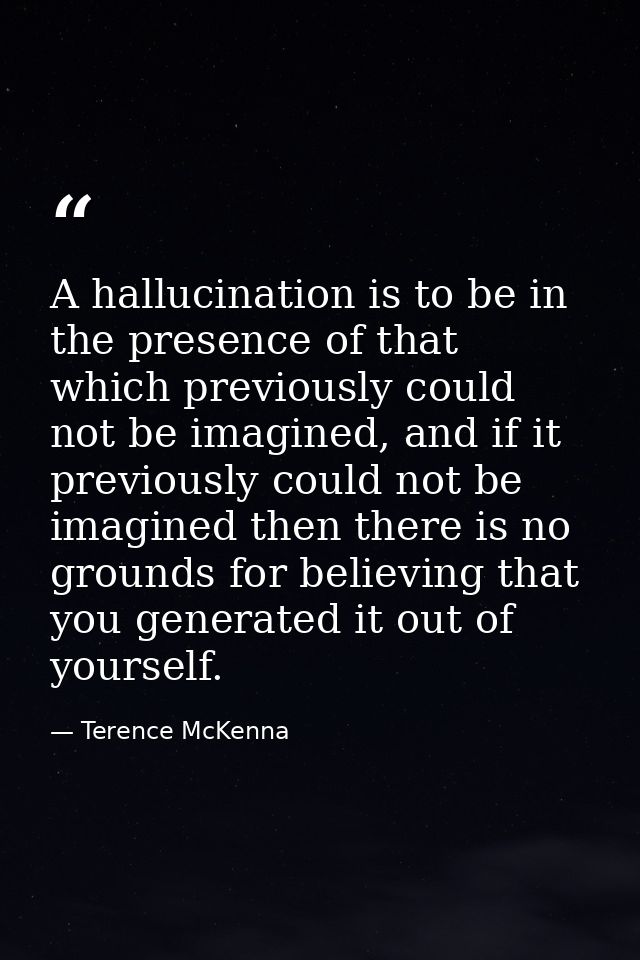 A hallucination is to be in the presence of that which previously could not be imagined, and if it previously could not  — Terence McKenna