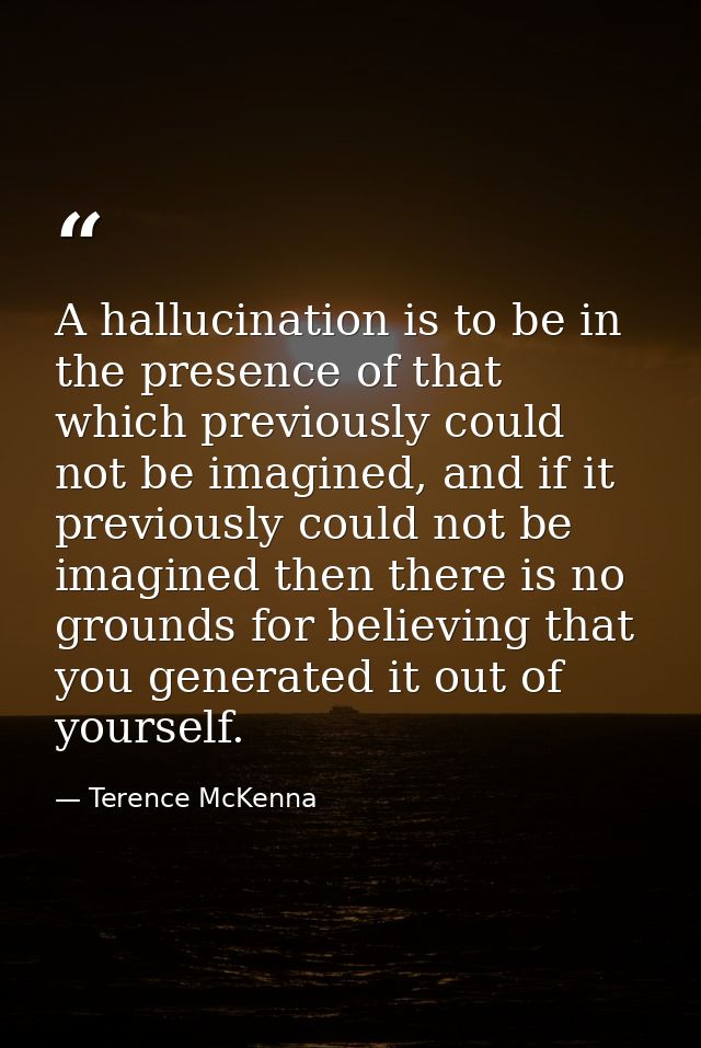 A hallucination is to be in the presence of that which previously could not be imagined, and if it previously could not  — Terence McKenna