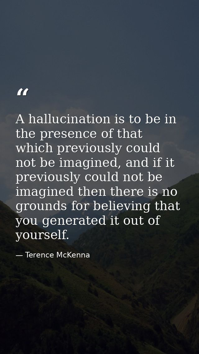 A hallucination is to be in the presence of that which previously could not be imagined, and if it previously could not  — Terence McKenna