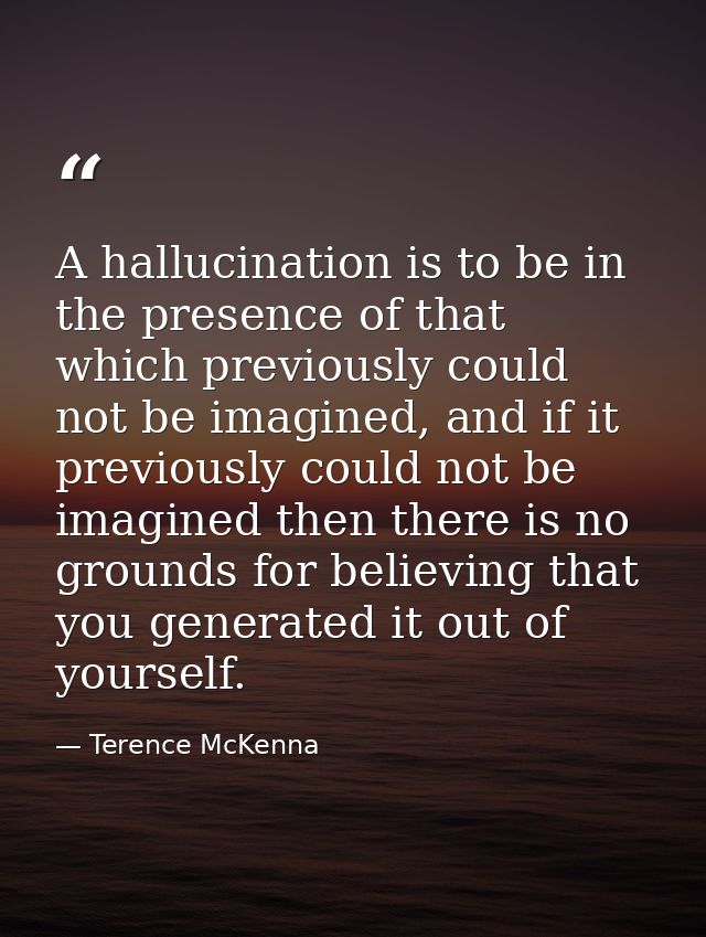 A hallucination is to be in the presence of that which previously could not be imagined, and if it previously could not  — Terence McKenna