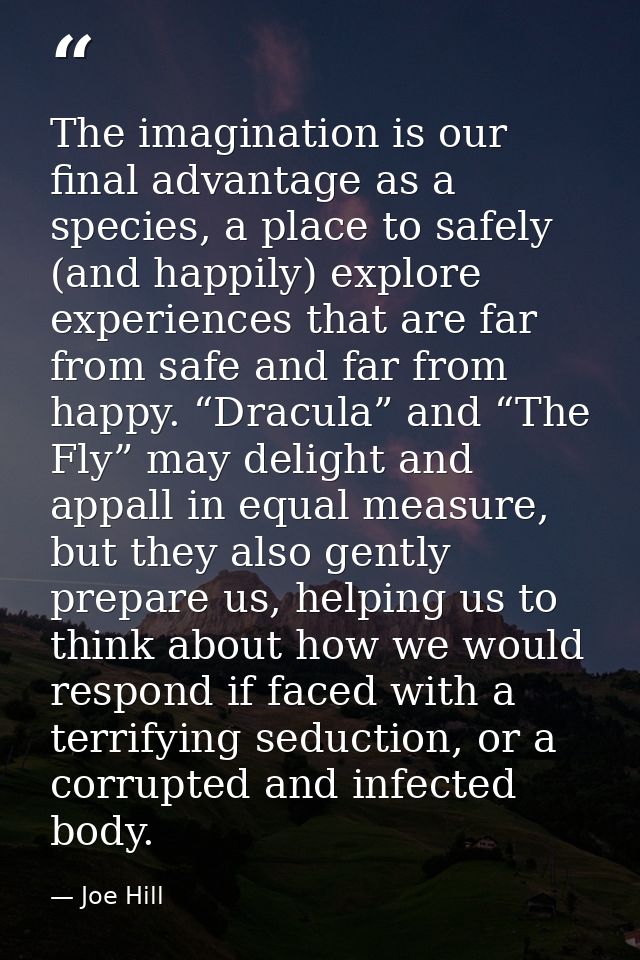 The imagination is our final advantage as a species, a place to safely (and happily) explore experiences that are far fr — Joe Hill