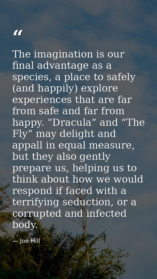 The imagination is our final advantage as a species, a place to safely (and happily) explore experiences that are far fr — Joe Hill