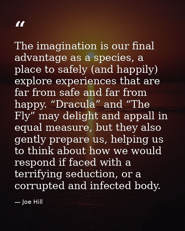 The imagination is our final advantage as a species, a place to safely (and happily) explore experiences that are far fr — Joe Hill