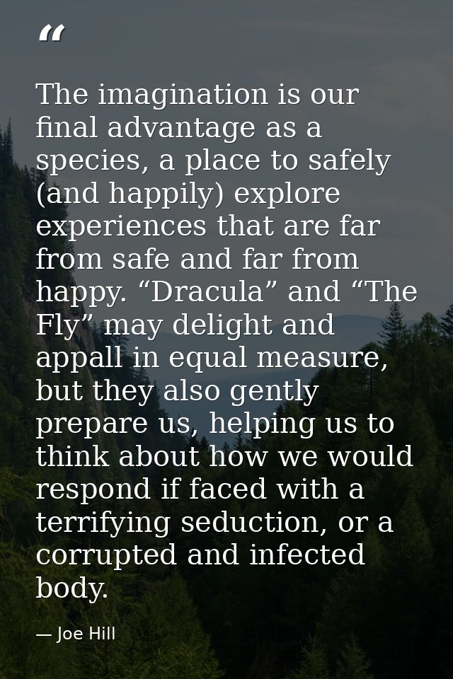 The imagination is our final advantage as a species, a place to safely (and happily) explore experiences that are far fr — Joe Hill