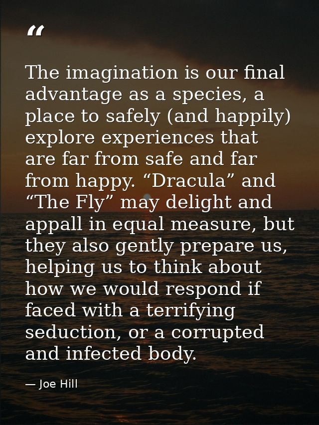 The imagination is our final advantage as a species, a place to safely (and happily) explore experiences that are far fr — Joe Hill