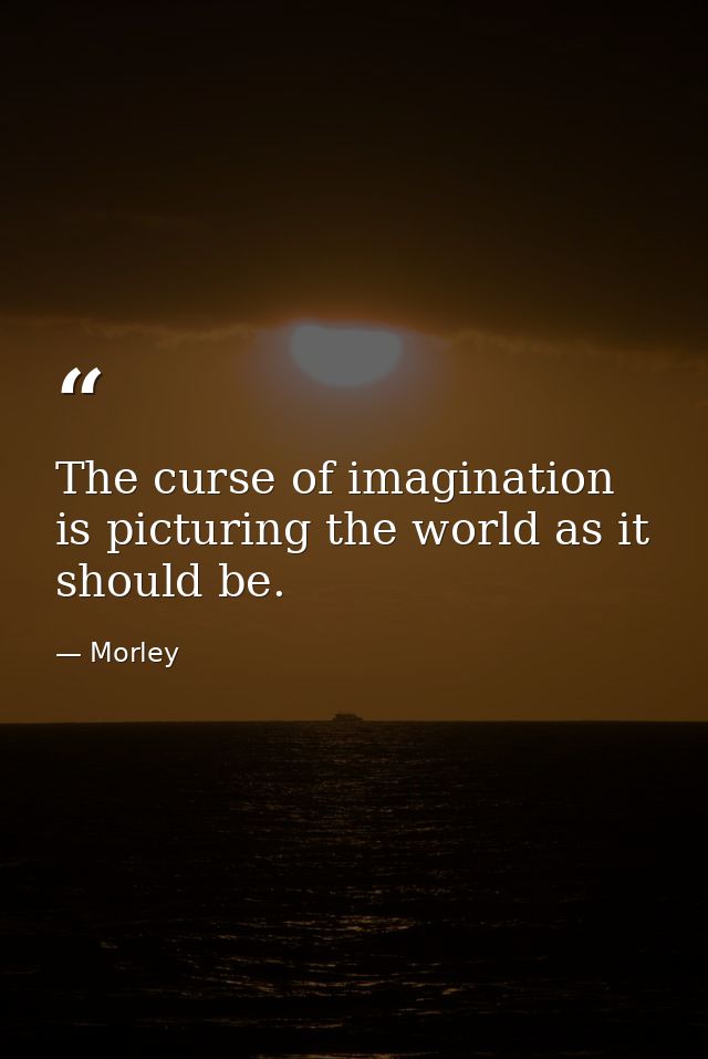 The curse of imagination is picturing the world as it should be. — Morley