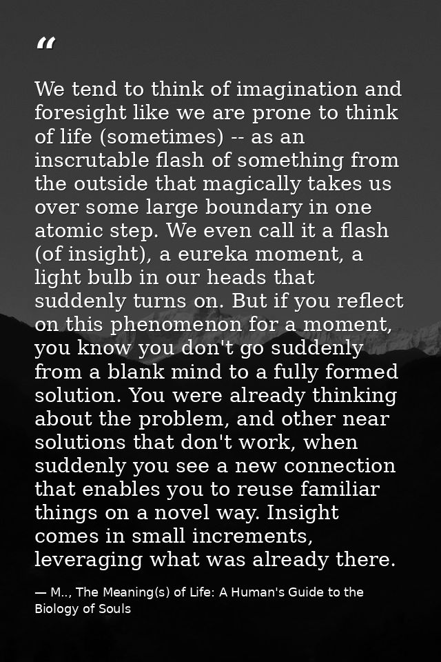 We tend to think of imagination and foresight like we are prone to think of life (sometimes) -- as an inscrutable flash  — M.., The Meaning(s) of Life: A Human's Guide to the Biology of Souls