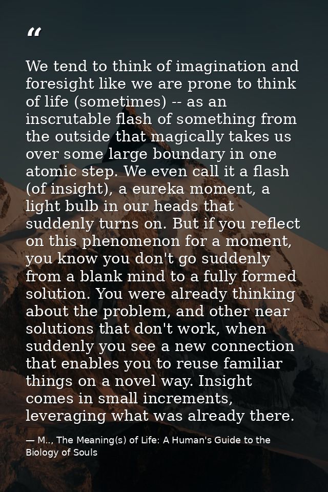 We tend to think of imagination and foresight like we are prone to think of life (sometimes) -- as an inscrutable flash  — M.., The Meaning(s) of Life: A Human's Guide to the Biology of Souls