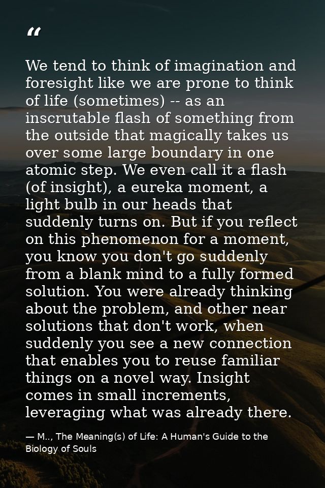 We tend to think of imagination and foresight like we are prone to think of life (sometimes) -- as an inscrutable flash  — M.., The Meaning(s) of Life: A Human's Guide to the Biology of Souls
