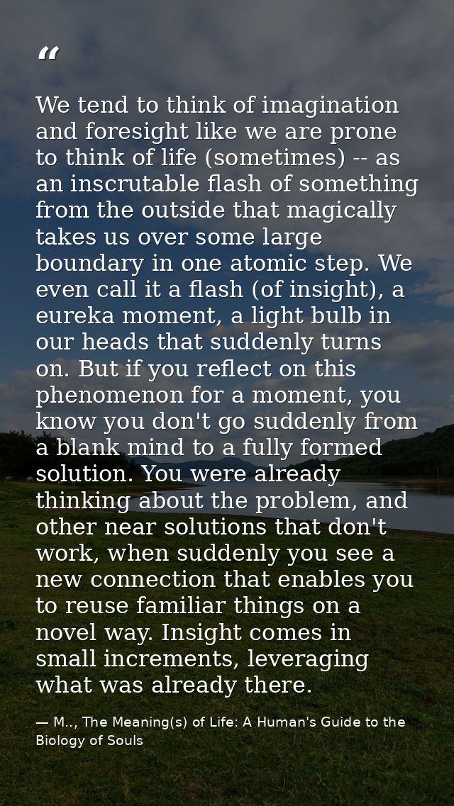 We tend to think of imagination and foresight like we are prone to think of life (sometimes) -- as an inscrutable flash  — M.., The Meaning(s) of Life: A Human's Guide to the Biology of Souls