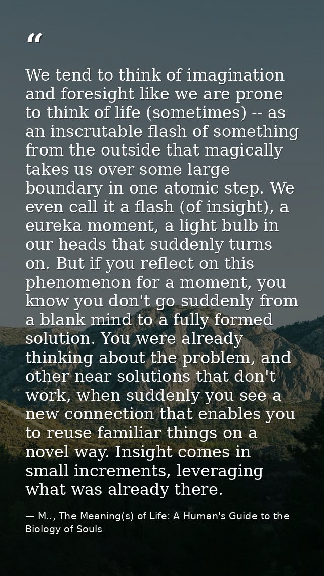 We tend to think of imagination and foresight like we are prone to think of life (sometimes) -- as an inscrutable flash  — M.., The Meaning(s) of Life: A Human's Guide to the Biology of Souls