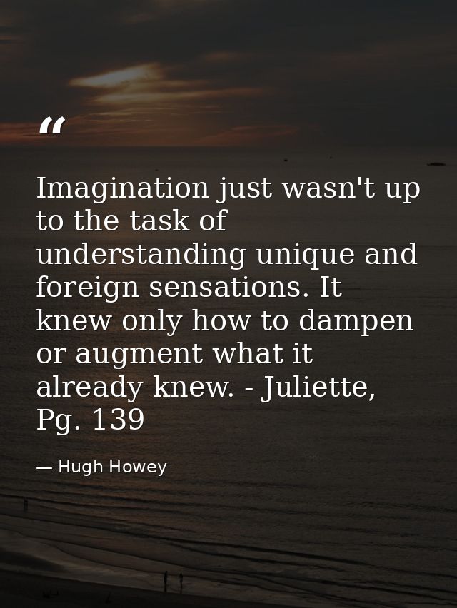 Imagination just wasn't up to the task of understanding unique and foreign sensations. It knew only how to dampen or aug — Hugh Howey