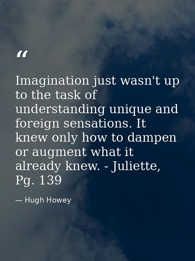 Imagination just wasn't up to the task of understanding unique and foreign sensations. It knew only how to dampen or aug — Hugh Howey
