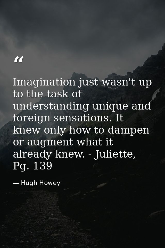 Imagination just wasn't up to the task of understanding unique and foreign sensations. It knew only how to dampen or aug — Hugh Howey