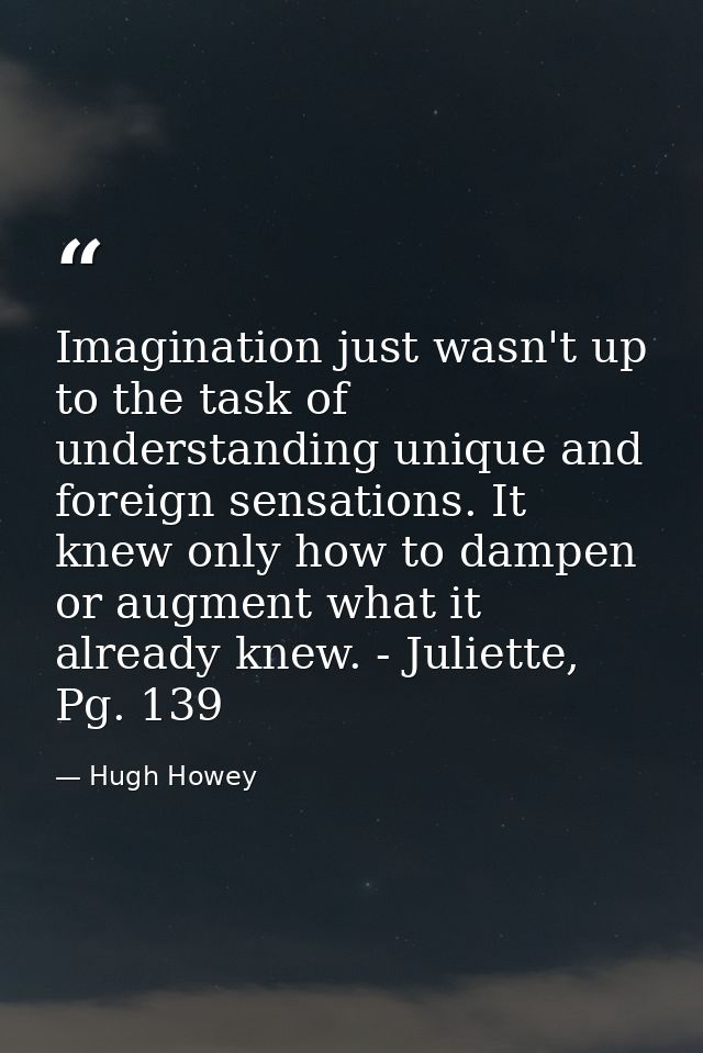 Imagination just wasn't up to the task of understanding unique and foreign sensations. It knew only how to dampen or aug — Hugh Howey
