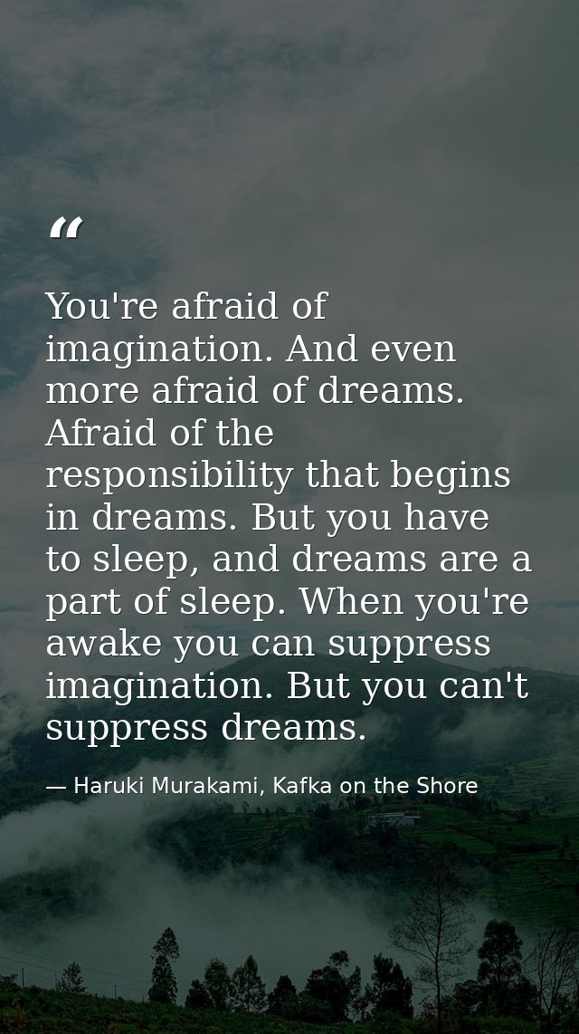 You're afraid of imagination. And even more afraid of dreams. Afraid of the responsibility that begins in dreams. But yo — Haruki Murakami, Kafka on the Shore