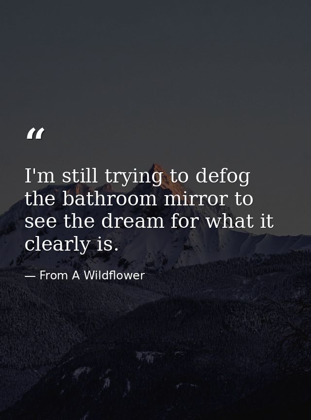I'm still trying to defog the bathroom mirror to see the dream for what it clearly is. — From A Wildflower