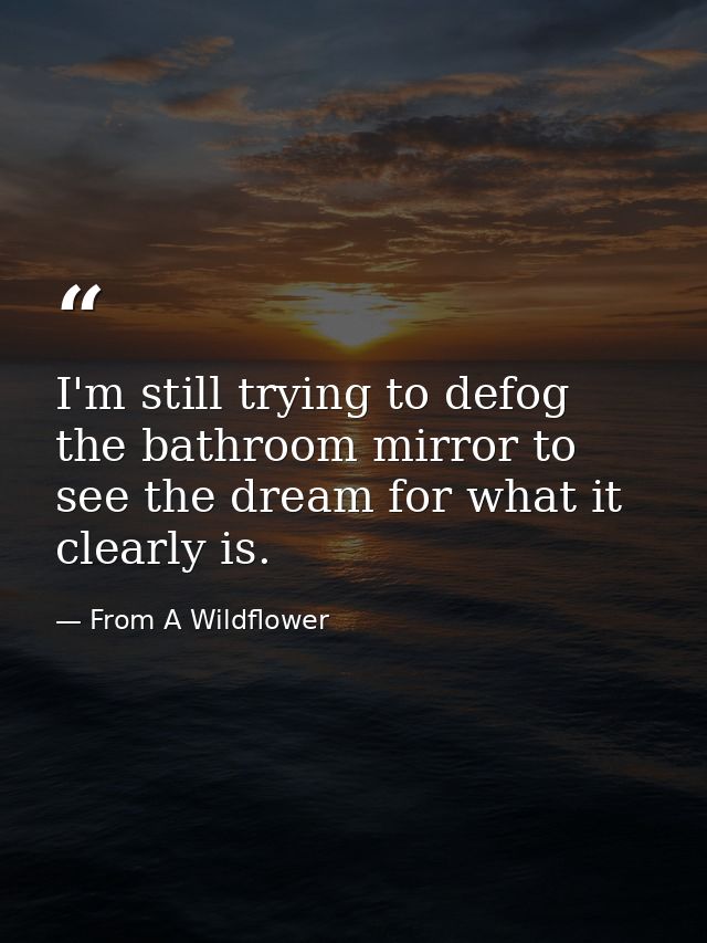 I'm still trying to defog the bathroom mirror to see the dream for what it clearly is. — From A Wildflower
