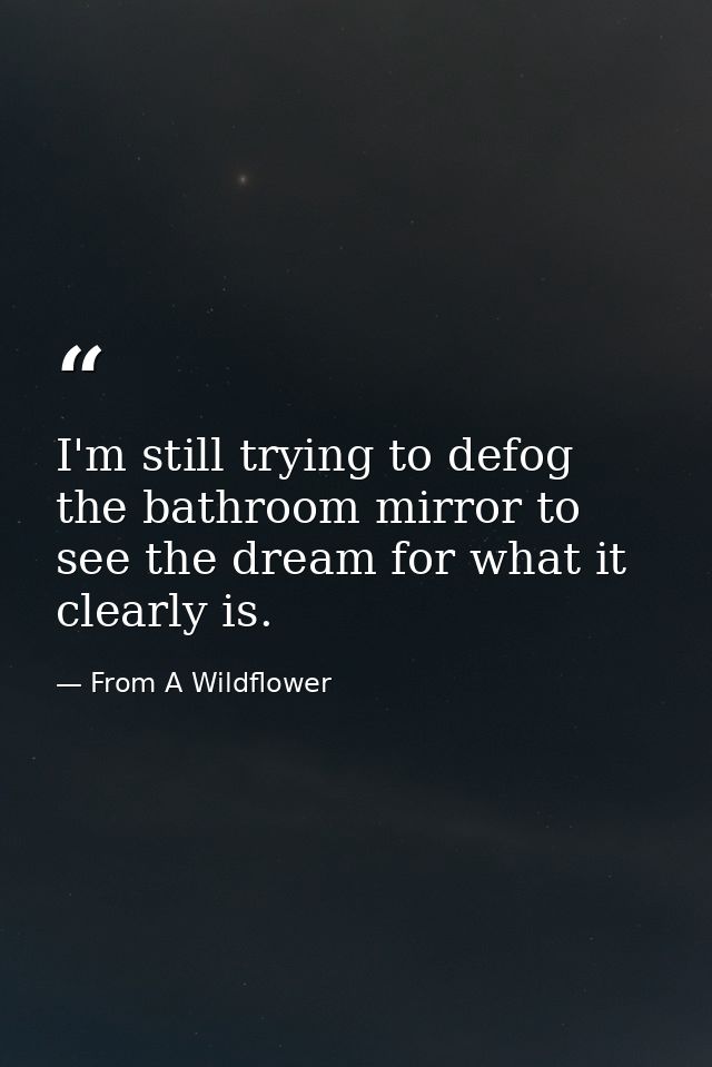 I'm still trying to defog the bathroom mirror to see the dream for what it clearly is. — From A Wildflower