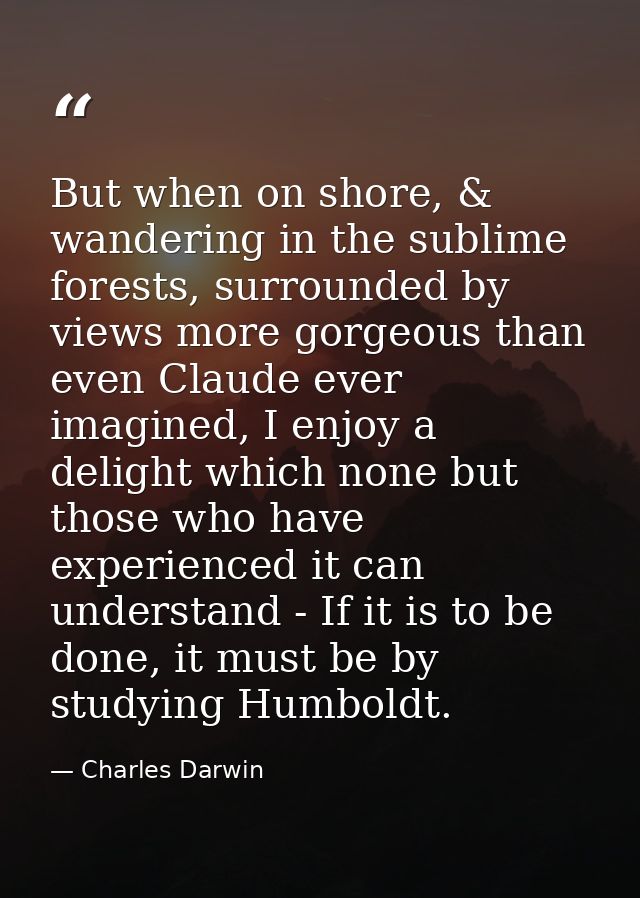 But when on shore, & wandering in the sublime forests, surrounded by views more gorgeous than even Claude ever imagined, — Charles Darwin