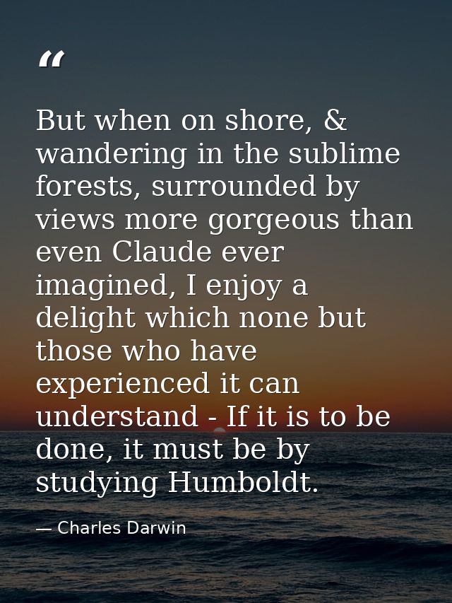 But when on shore, & wandering in the sublime forests, surrounded by views more gorgeous than even Claude ever imagined, — Charles Darwin