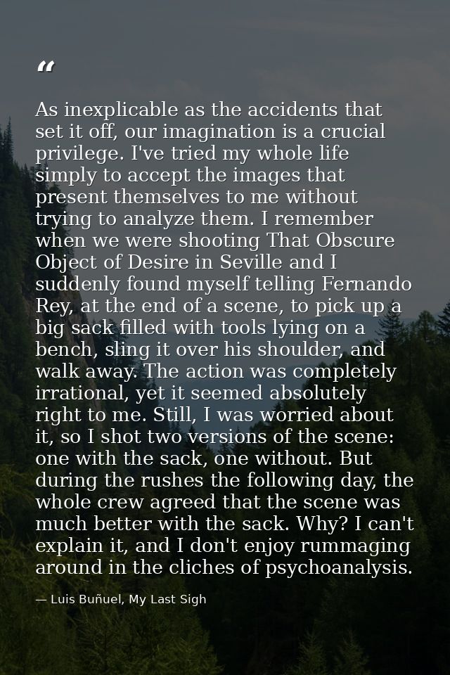 As inexplicable as the accidents that set it off, our imagination is a crucial privilege. I've tried my whole life simpl — Luis Buñuel, My Last Sigh