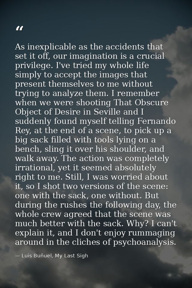 As inexplicable as the accidents that set it off, our imagination is a crucial privilege. I've tried my whole life simpl — Luis Buñuel, My Last Sigh