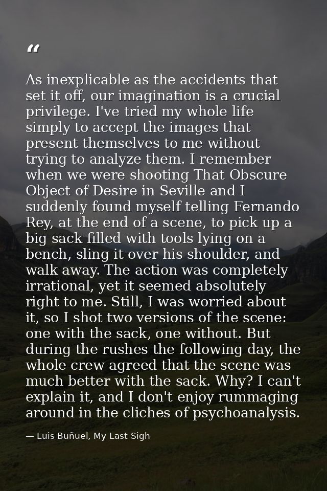 As inexplicable as the accidents that set it off, our imagination is a crucial privilege. I've tried my whole life simpl — Luis Buñuel, My Last Sigh