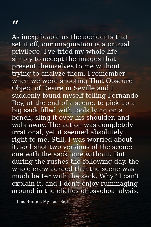 As inexplicable as the accidents that set it off, our imagination is a crucial privilege. I've tried my whole life simpl — Luis Buñuel, My Last Sigh